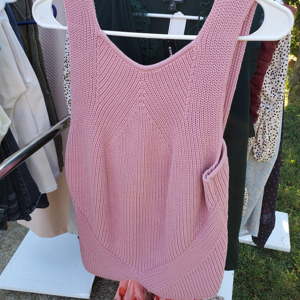 Express Mauve Knit Top